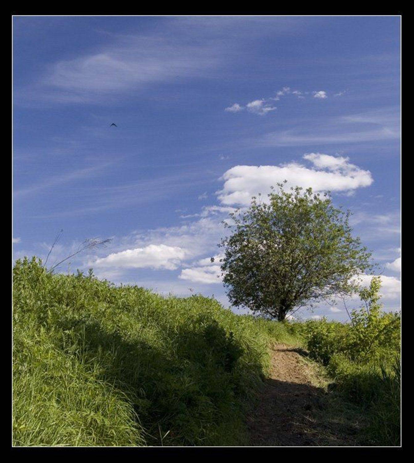 , Екатерина (PhotoJourneys.ru) Васягина