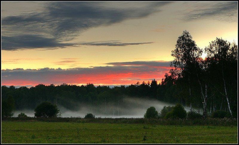 сумерки, туман, вечер, закат, лес, небо, осень Сумерки. Туман. фото превью