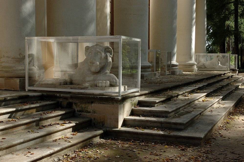 осень, вечер, жёлтые листья, парк, архангельское, Kaiser Sozo