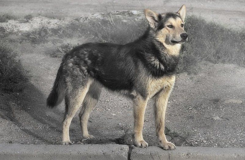 в ожидании В ожидании фото превью