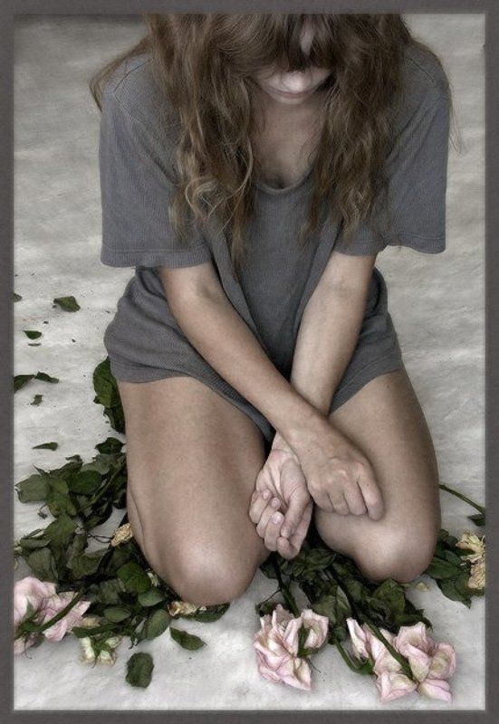 розы *** фото превью