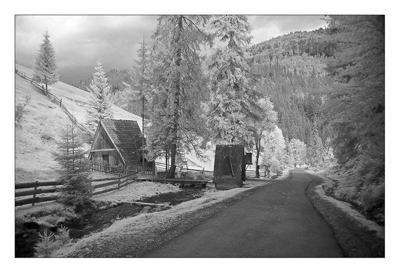 ик оз. синевир токарь, Токарь Дмитрий