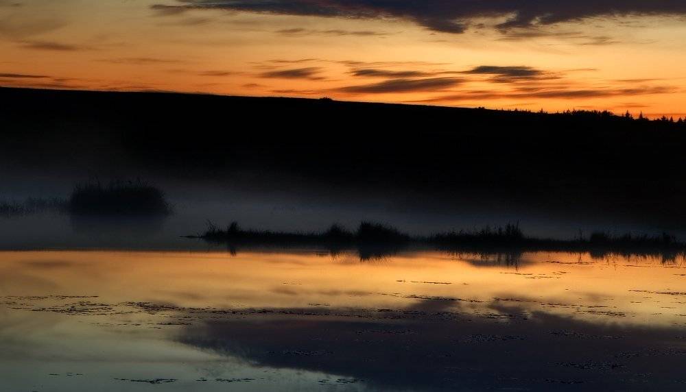 , Владимир Липецких