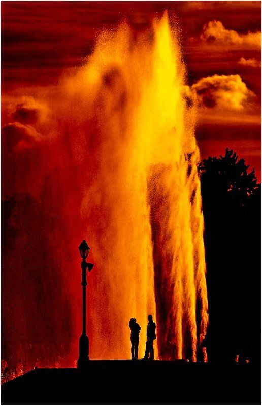 Всегда есть выбор ... фото превью