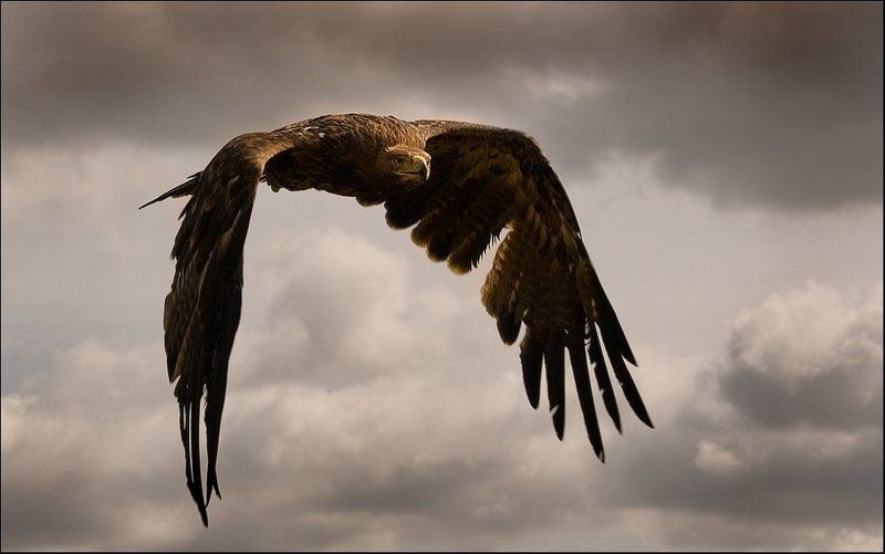 Хмурое небо фото превью