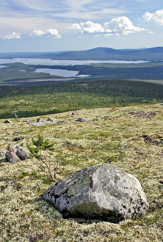 кольский, колвицкое, озеро, гора, рисовская, иолга На Рисовской Иолге. фото превью