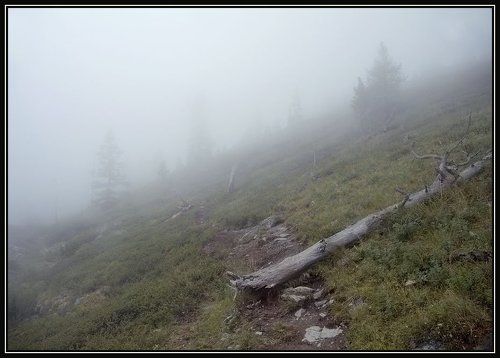 Дорога в тумане_1