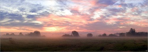 розово-туманный рассвет