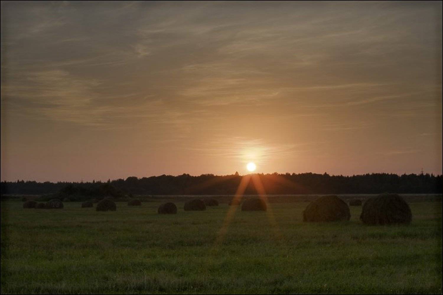 старая ладога, поле, сено, вечер, закат, человечек ;0), Братаев Юра