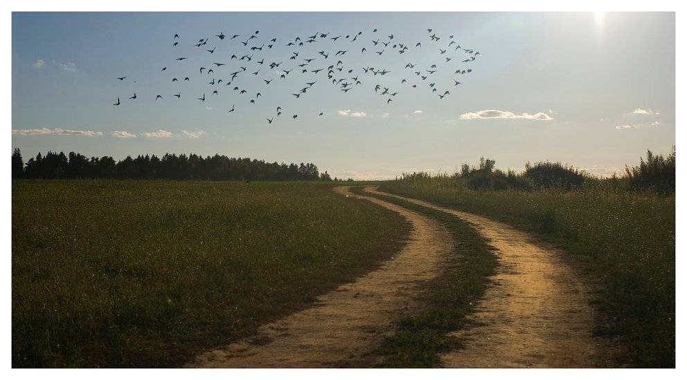 , Сергей Прокошин