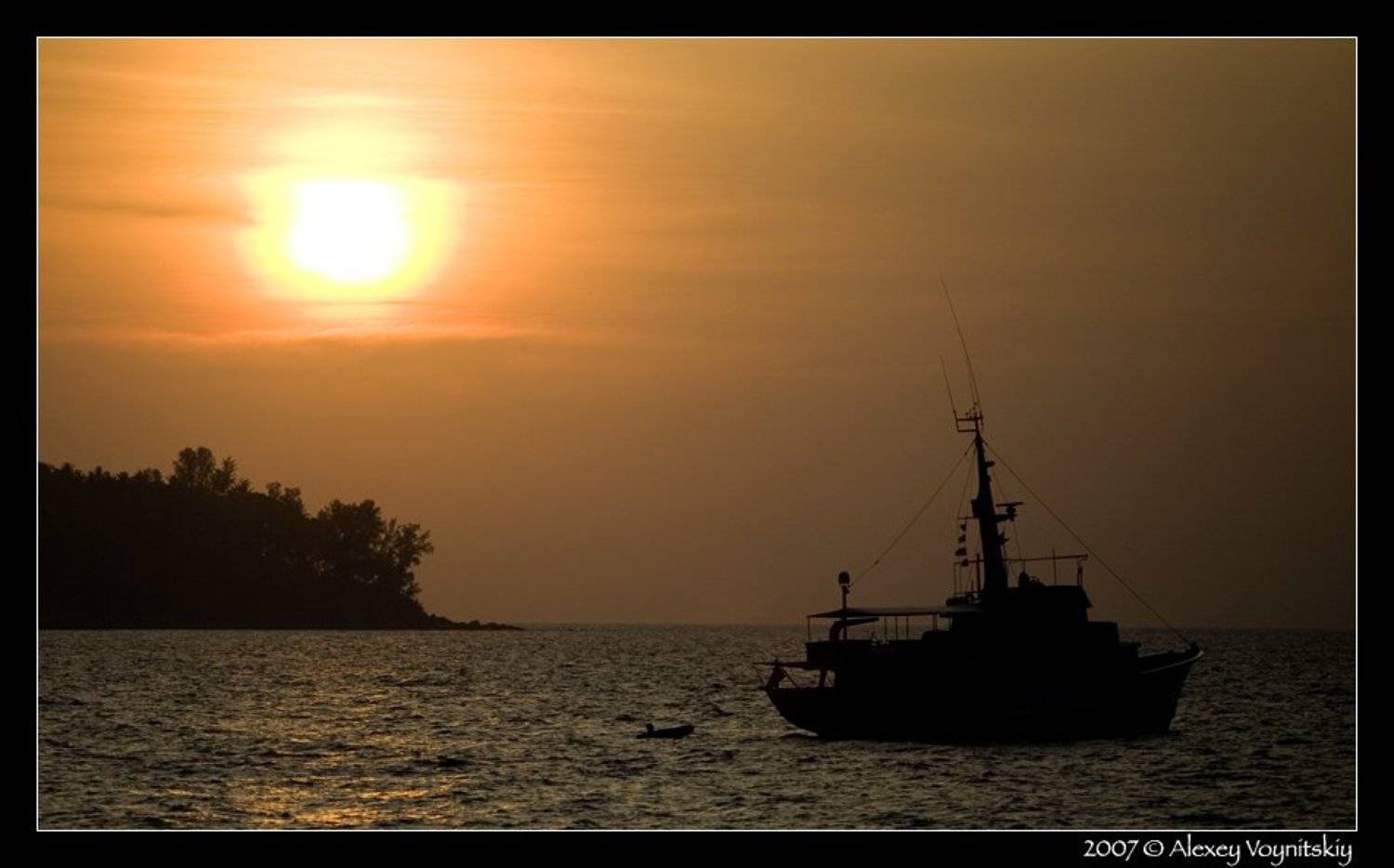 , Алексей Войницкий