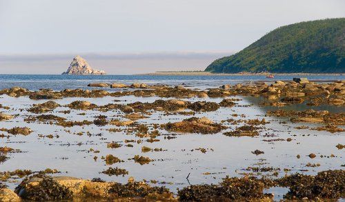 Малая вода