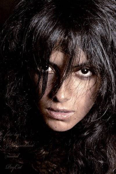 кошка...., D.D.