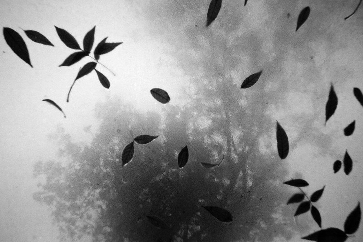 , Денис Хоменков