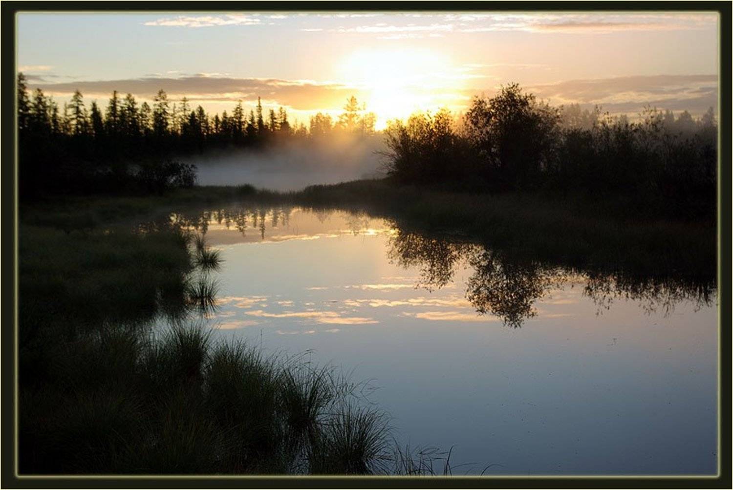 утро,туман,река,тайга,яутия, Солодухин Виктор