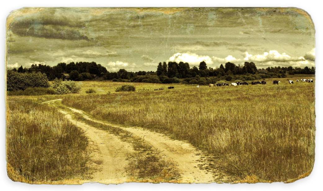 , Владимир Липецких