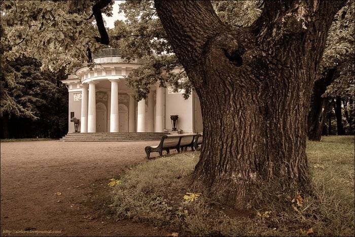 петербург,дыхание осени, Александр Рогачёв