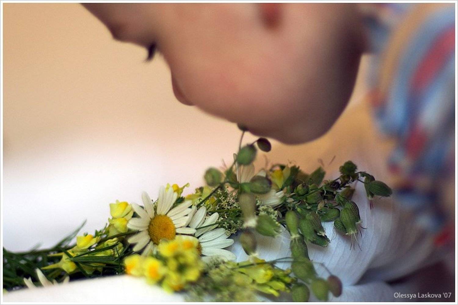 ромашки, дети, букет, цветы жизни, Олеся Ласкова
