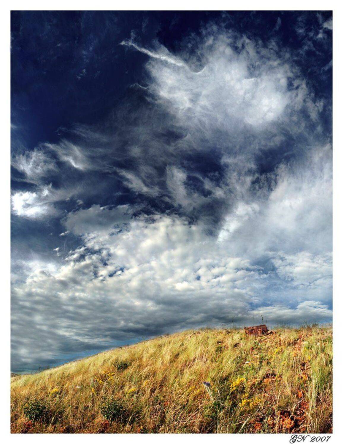 , Гулин Никита