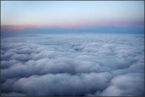 Dreamland