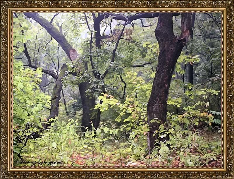 Дубовая чаща после грозы фото превью