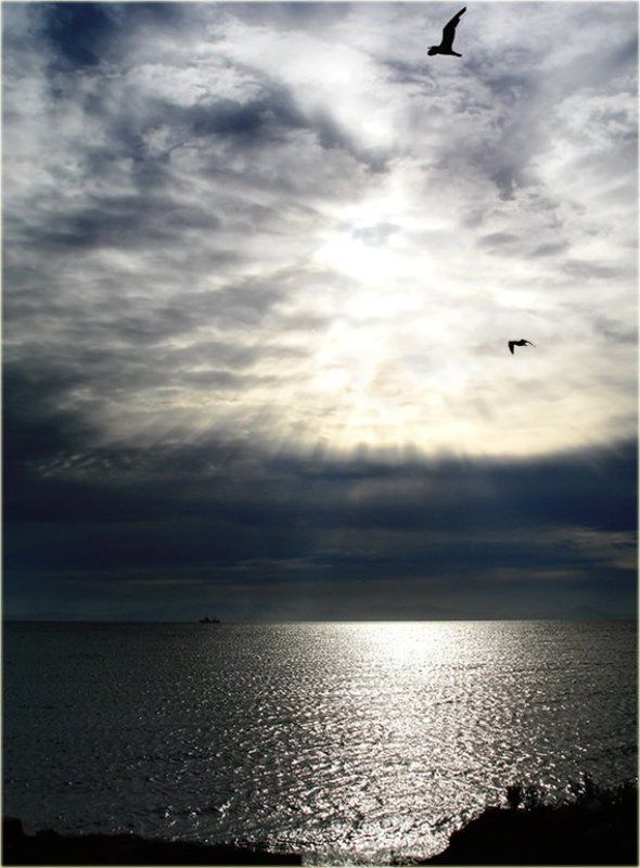 Утро осени на берегу моря Японского фото превью