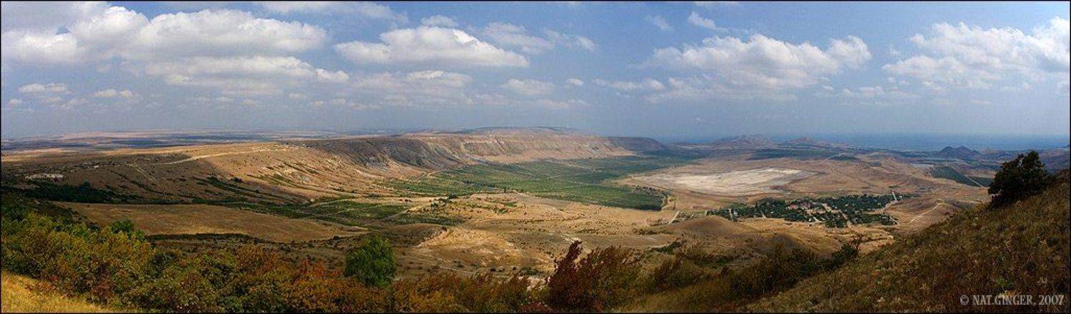 коктебель, Ginger