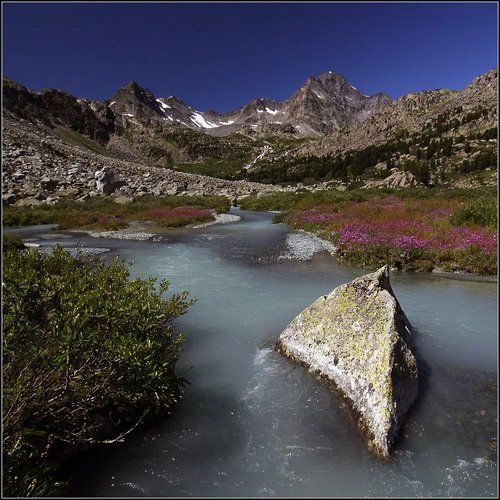 Райская картинка