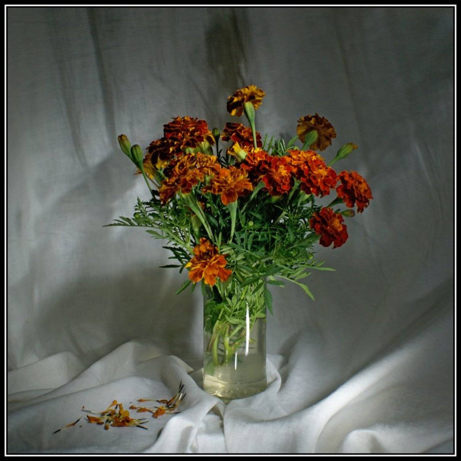 световая кисть, натюрморт, Патрикеев Александр