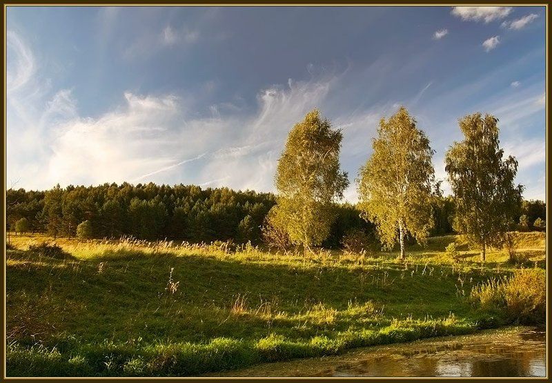 На берегу фото превью