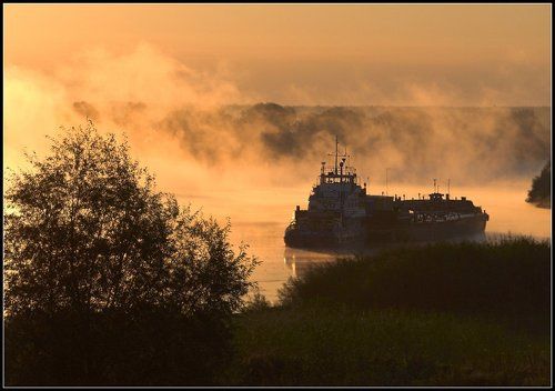 Туманный рейс