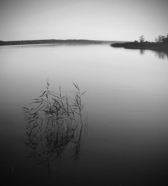 , Сергей Прокошин