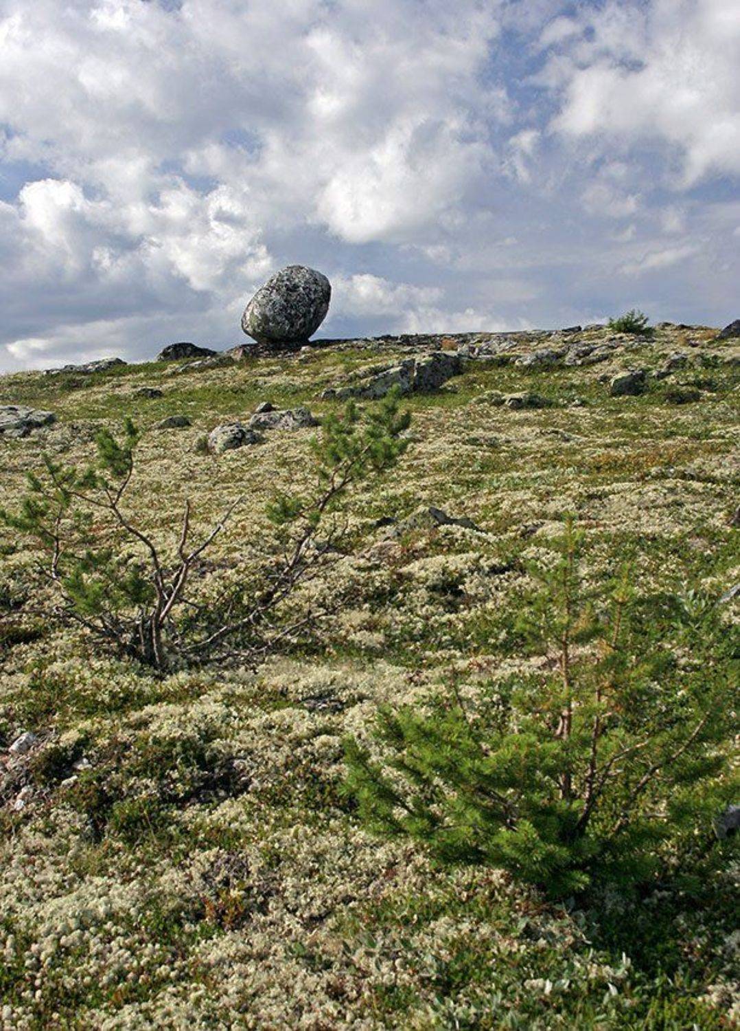 кольский, сейд, гора,рисовская, иолга, Gorshkov Igor_Feanorus