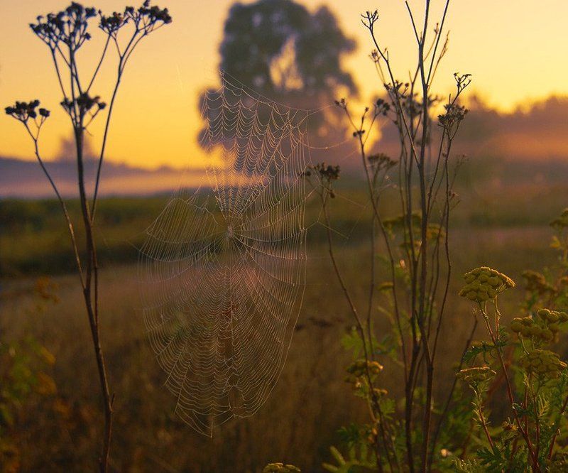 Мишень фото превью
