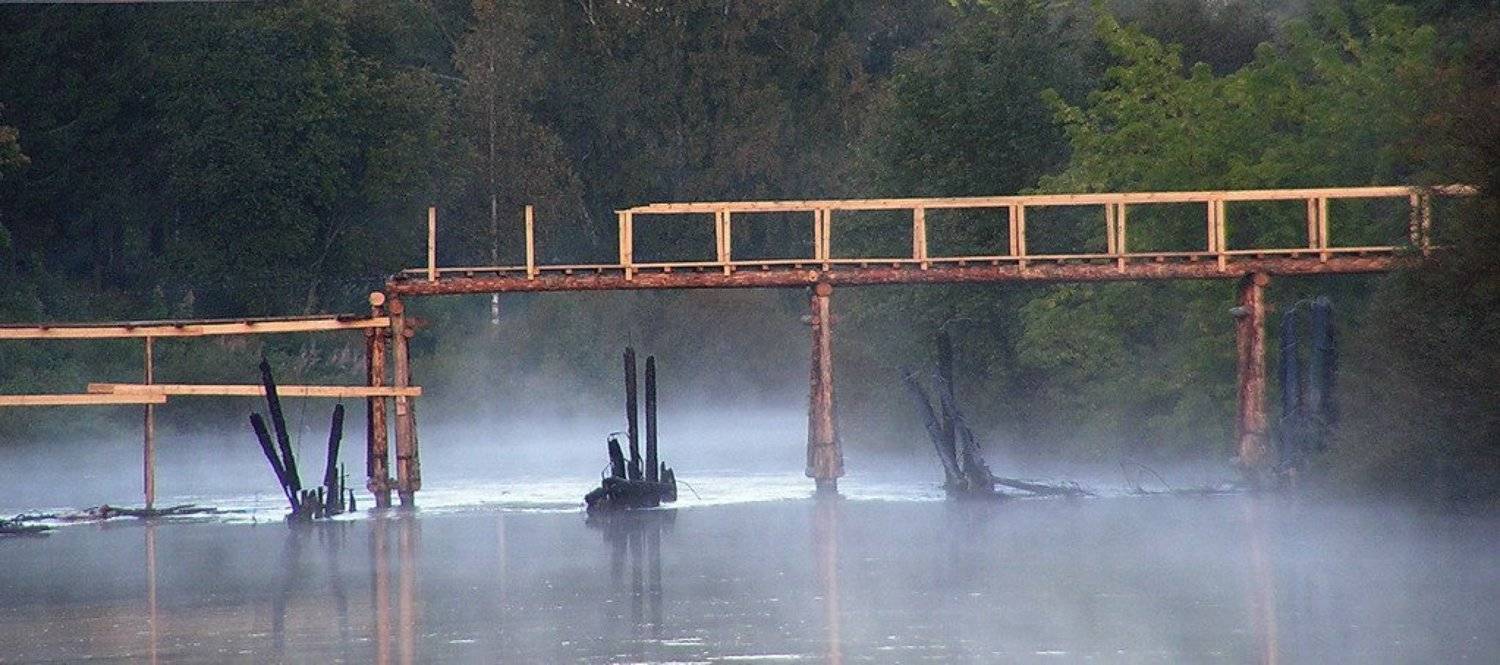 , Илья Коптев