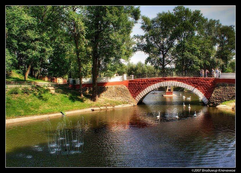 гомель, беларусь, лебеди, лебеный пруд, Владимир Ключенков