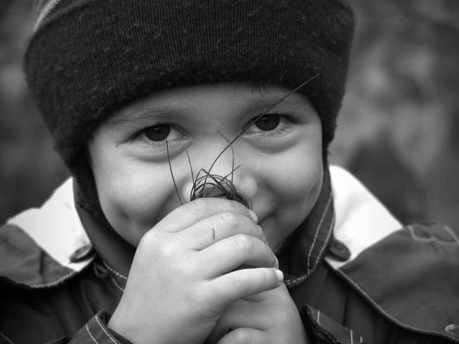 портрет, сын, папина гордость, Старый мудрый КА