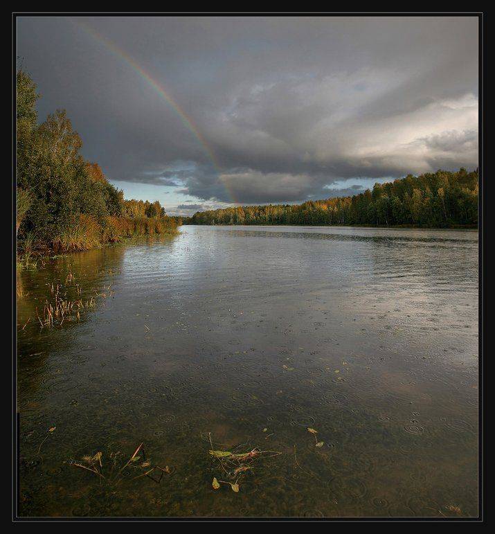 , Сергей Прокошин