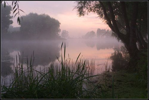 О туманной перспективе рыбной ловли
