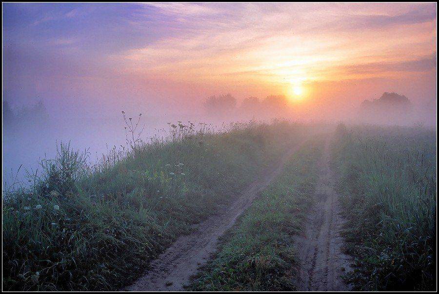 август, рассвет, туман, дорога, река, утро, поле, Григорий Иващенко