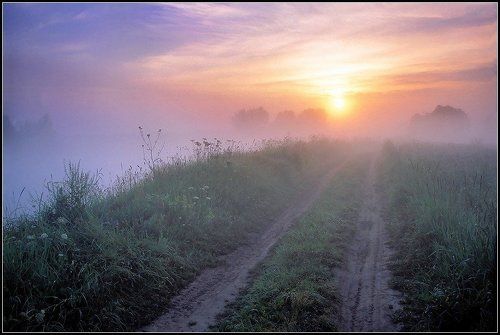 Август