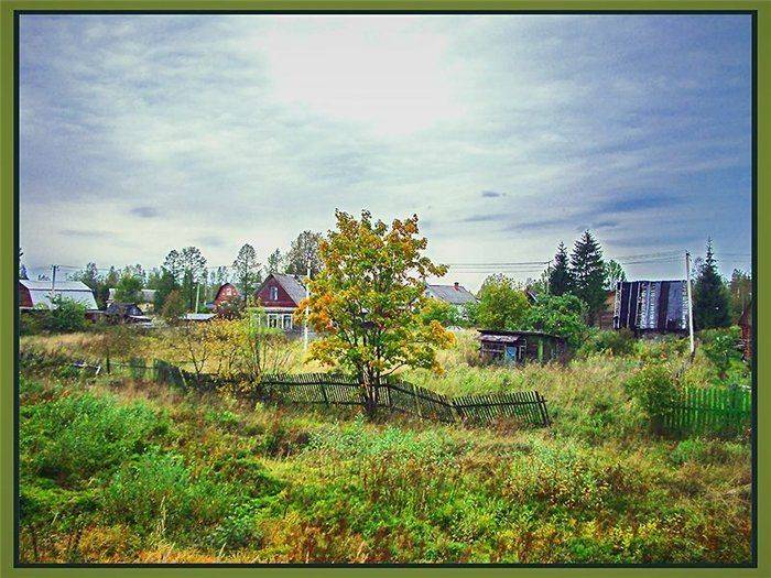 , Лариса Запатрина