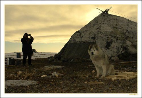 Место под солнцем