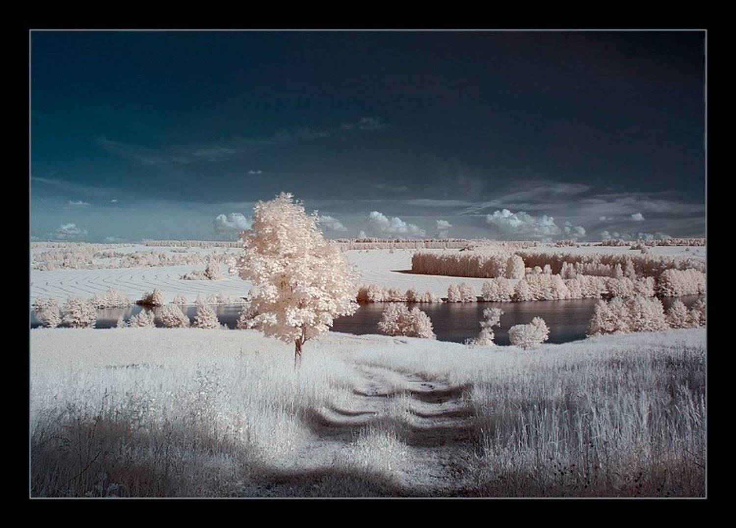 ик, infra red, инфракрасная съемка, Капустин Николай