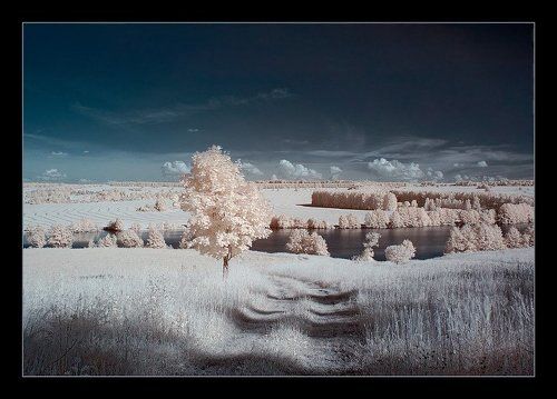 Отпускная зимовка