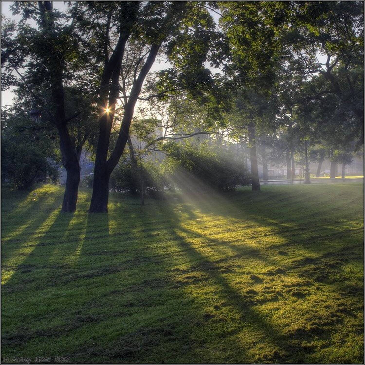 лето, утро, лучи, солнце, Андрей Житков