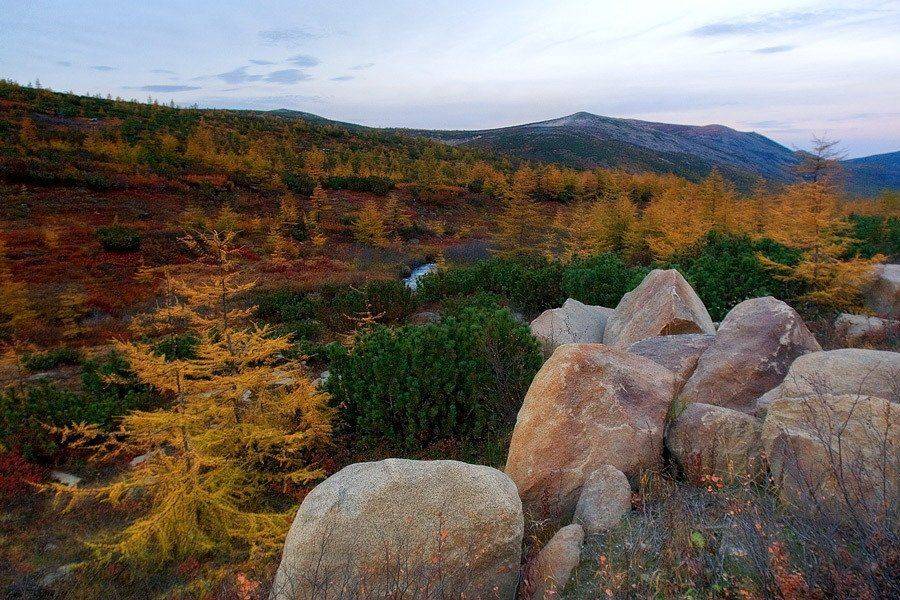 магадан, Sir Fisher