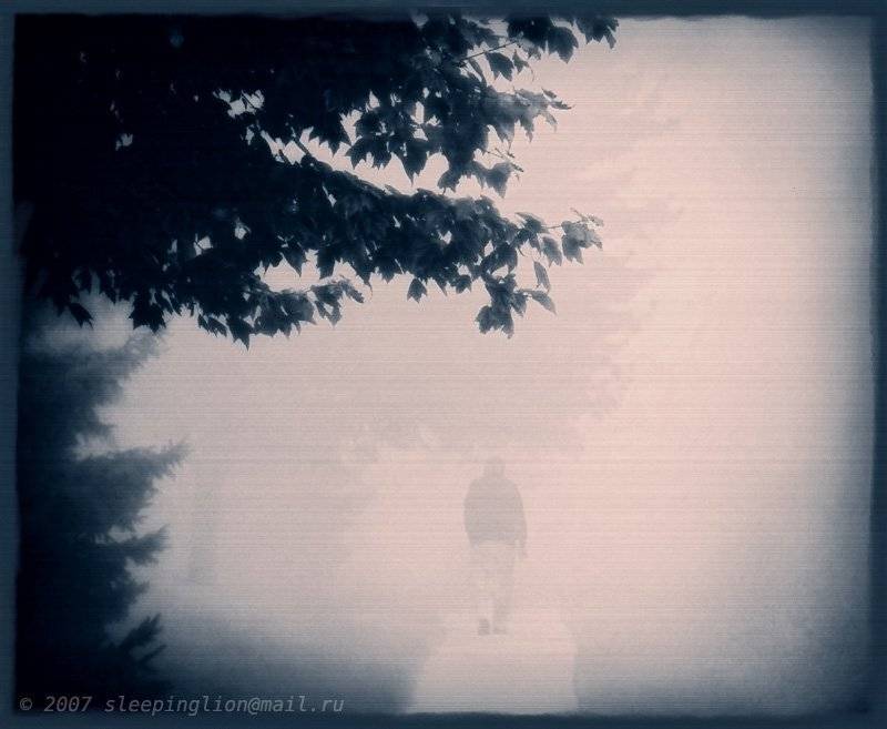 pilgrim, жанр, туман, Pilgrim