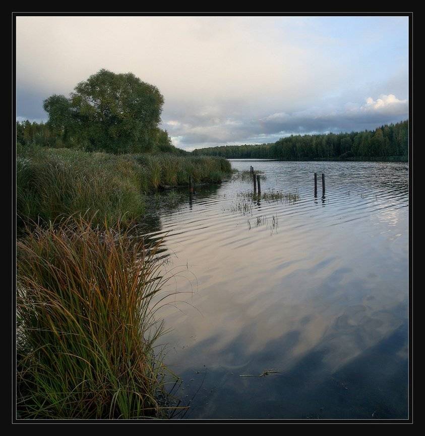 , Сергей Прокошин