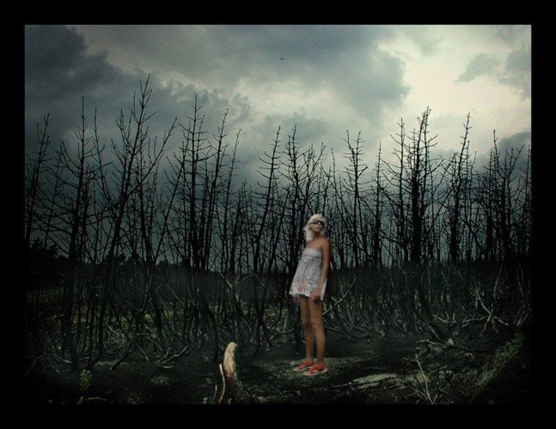 lost lost фото превью
